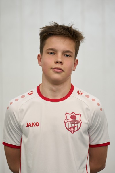 Александр Ильич Грибцов