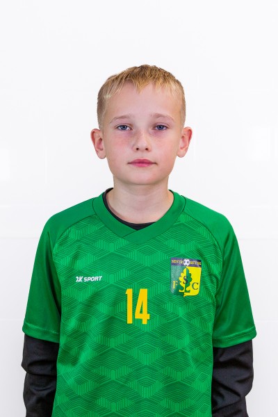 Дмитрий Романович Бабин