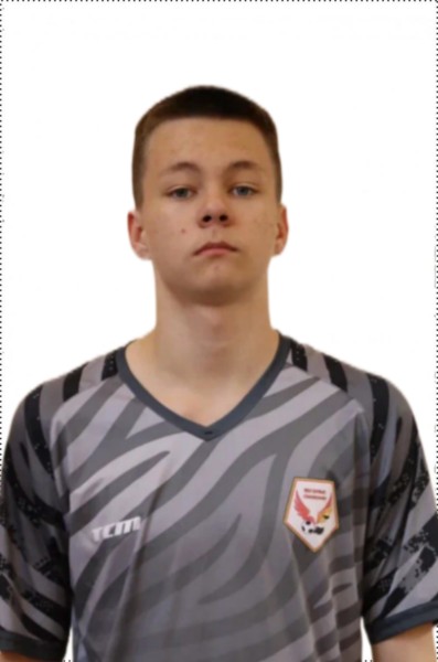 Иван Романович Шевелев