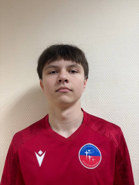 Владимир Павлович Миронов
