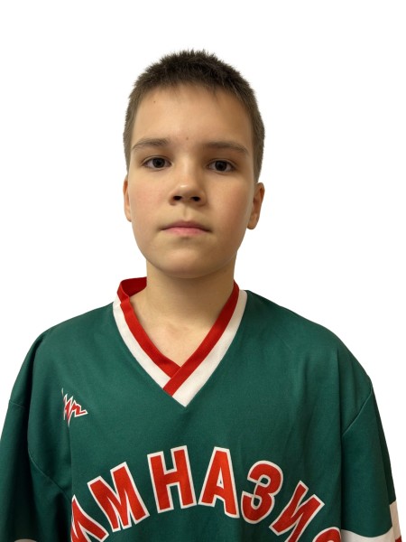 Вильдан Даниярович Набиуллин