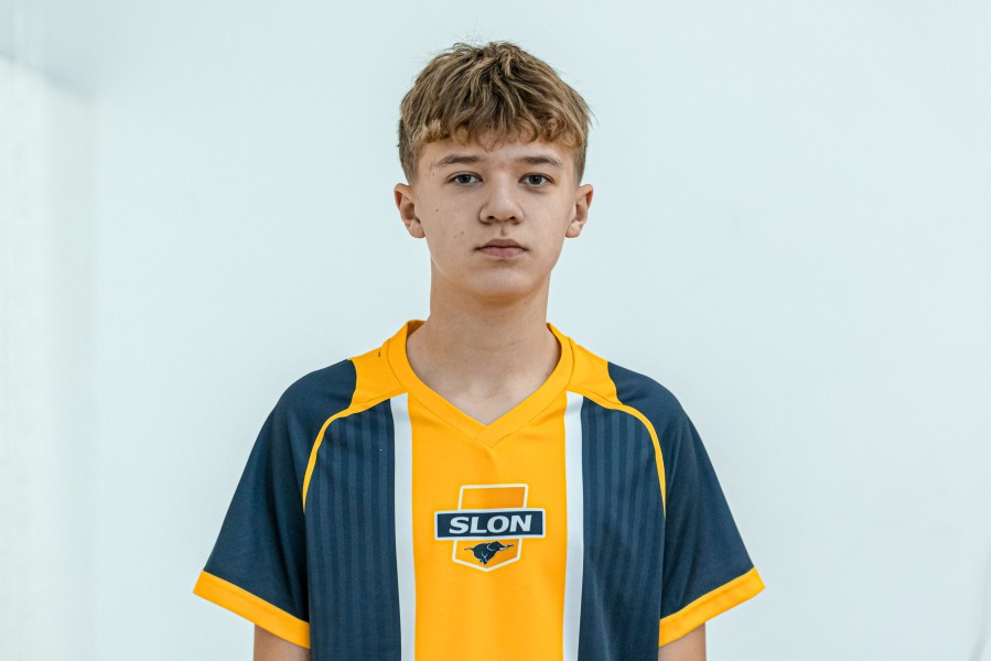 Мирон Витальевич Одесских