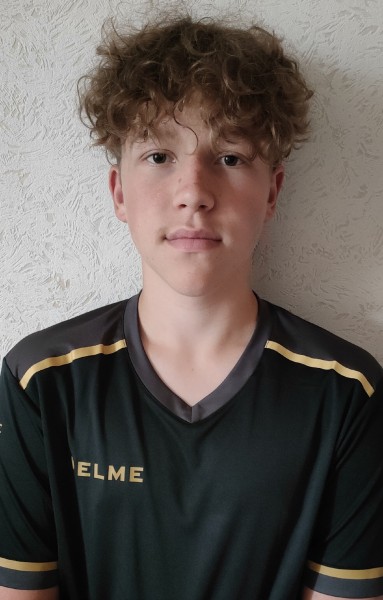 Илья Дмитриевич Сергеев