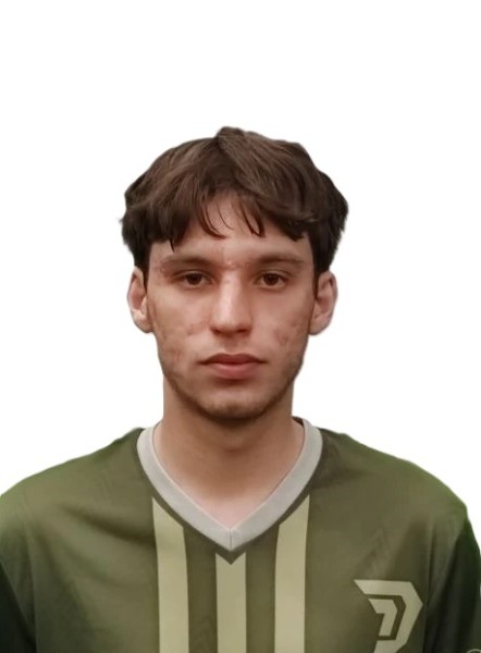 Ролан Рамисович Мамаев