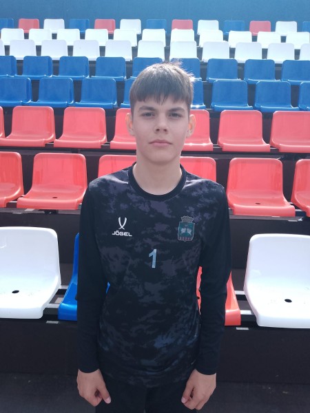 Илья Сергеевич Бушин