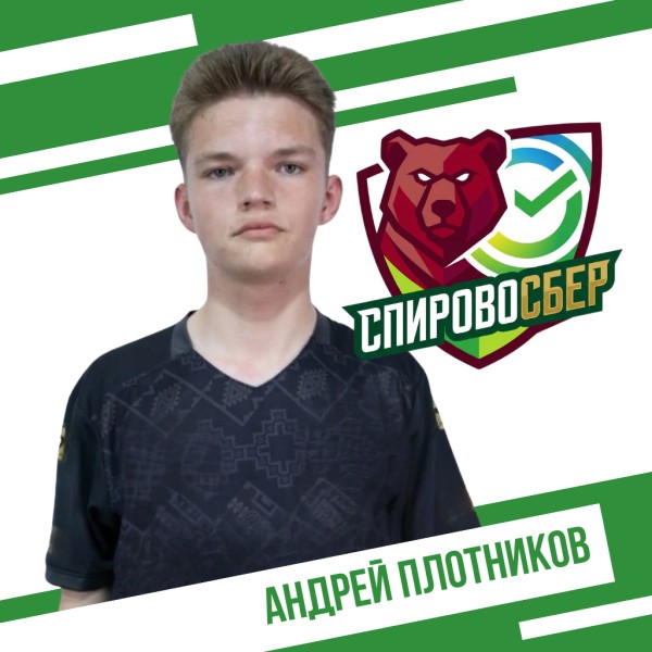 Андрей Игоревич Плотников