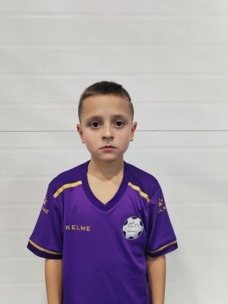 Мирон Владимирович Горностаев