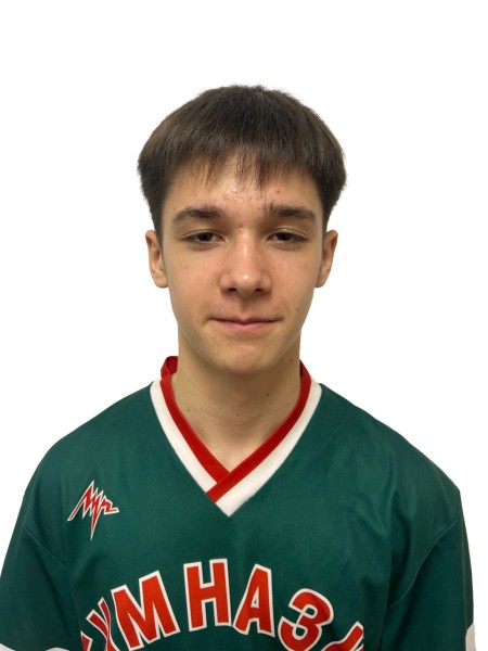 Валерий Дмитриевич Валеев