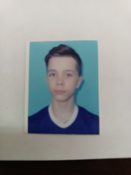 Илья Михайлович Варегин