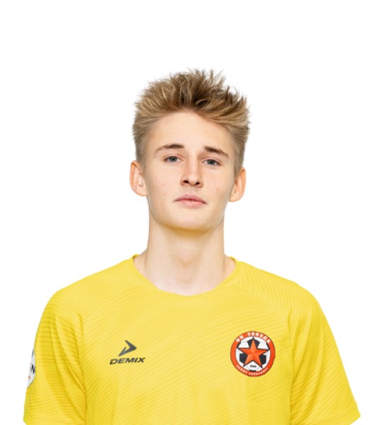 Никита Вячеславович Фирсов