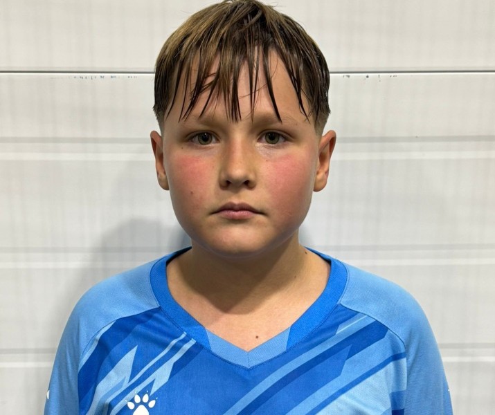 Дмитрий Ильич Михеев