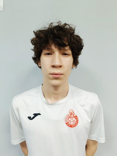 Арсений Ильич Павлов