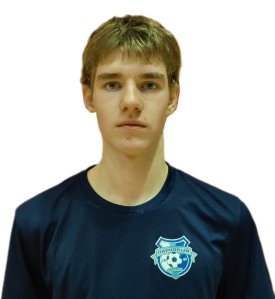 Михаил Иванович Снежко