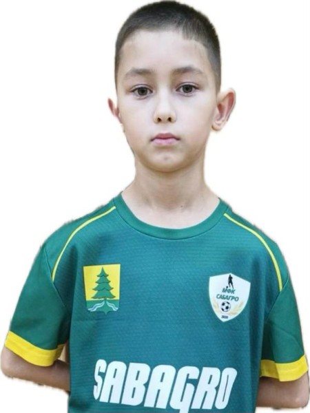 Альмир Алевтинович Дмитриев