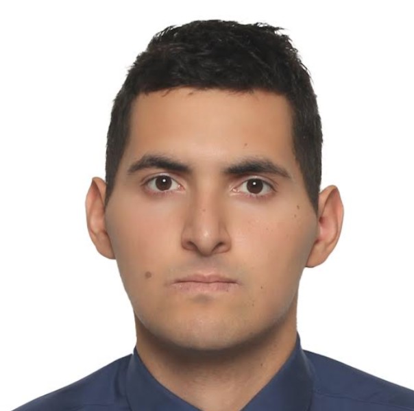 Марк Грантович Молчанов