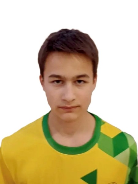Эмиль Русланович Алямов