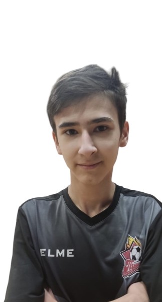 Ильнур Николаевич Зызыкин