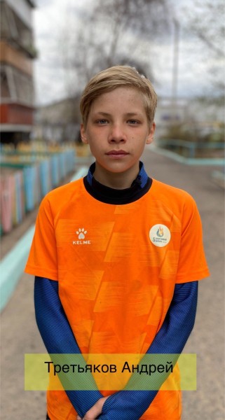 Андрей Евгеньевич Третьяков