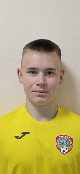 Денис Юрьевич Родькин