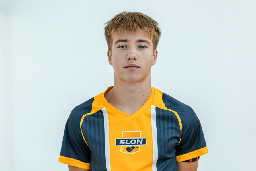 Савелий Александрович Афлитонов