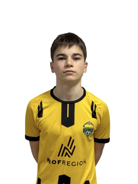 Эмиль Ильдарович Валиуллин