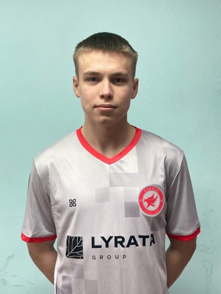 Дмитрий Александрович Мизгирев