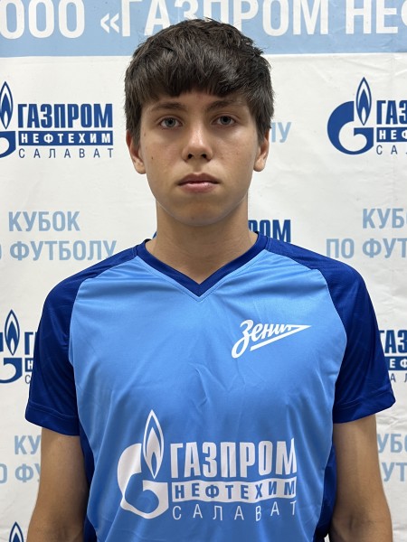 Эмиль Винерович Сагитов