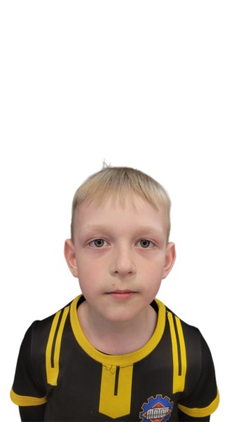 Владимир Ильич Слесарский