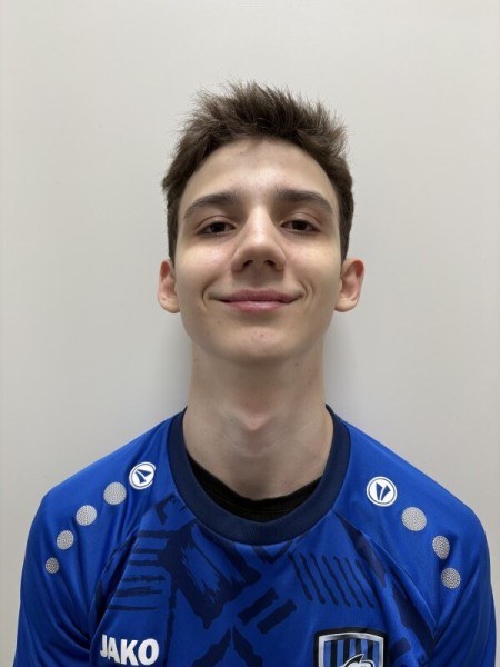 Арсений Алексеевич Алин