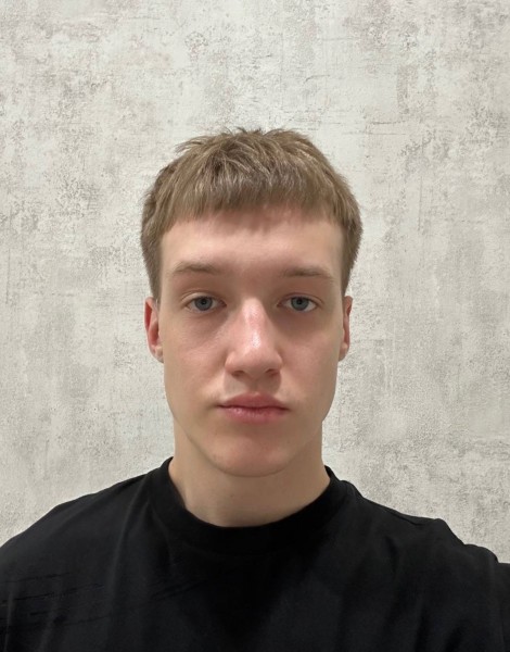 Владислав Алексеевич Паничев