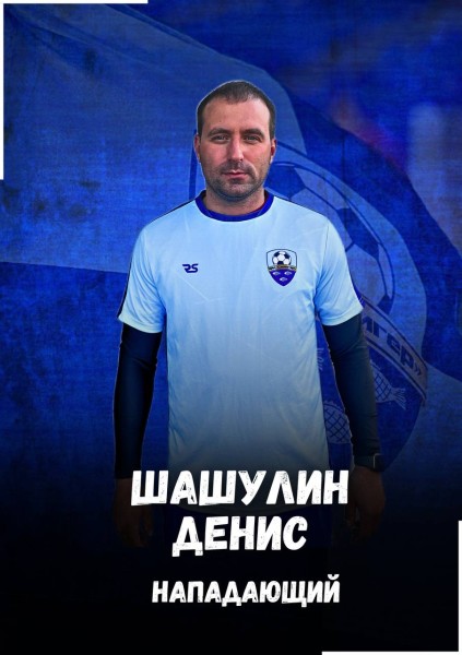 Денис Васильевич Шашулин