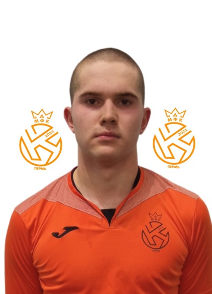 Дмитрий Вячеславович Широков