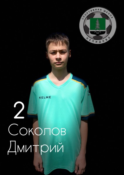 Дмитрий Иванович Соколов