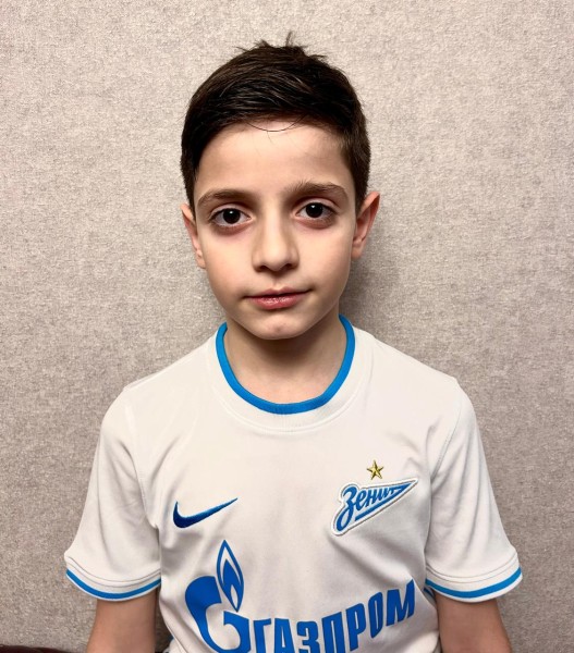 Илиа Гочаевич Гогуа