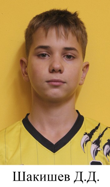 Дмитрий Дмитриевич Шакишев