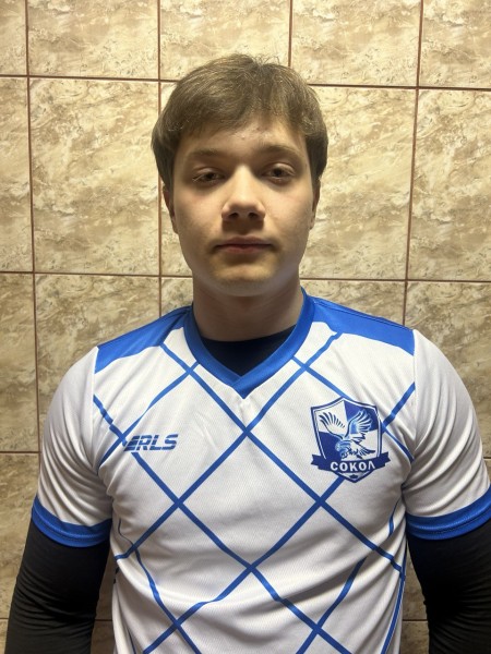 Давид Александрович Волков