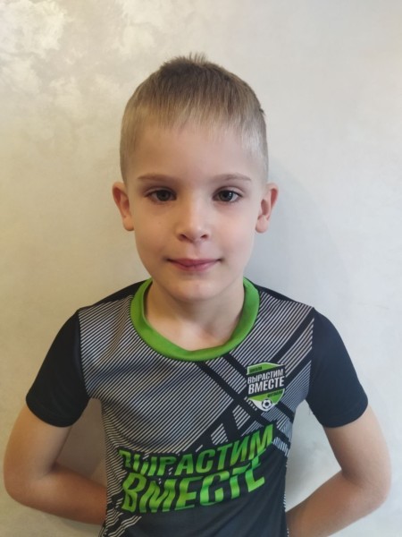 Михаил Дмитриевич Будников