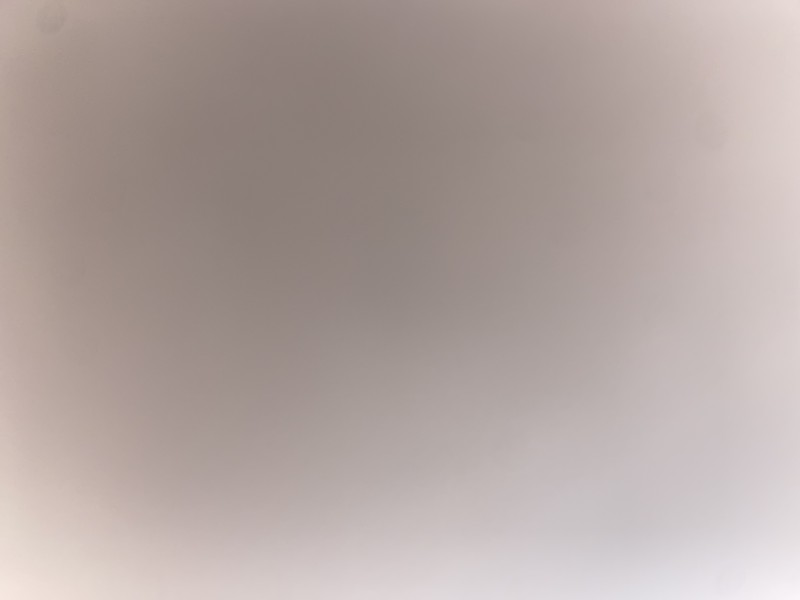 Владислав Витальевич Волков