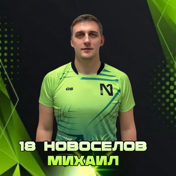 Михаил Николаевич Новосёлов
