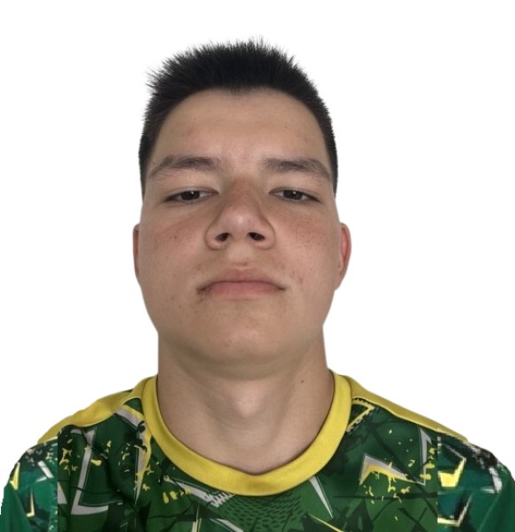 Амир Аликович Сибгатов