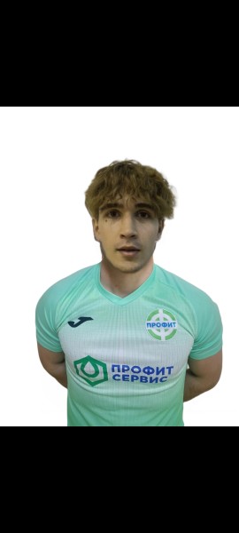 Илья Андреевич Щипицын