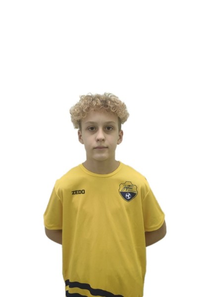 Дмитрий Игоревич Вихарев