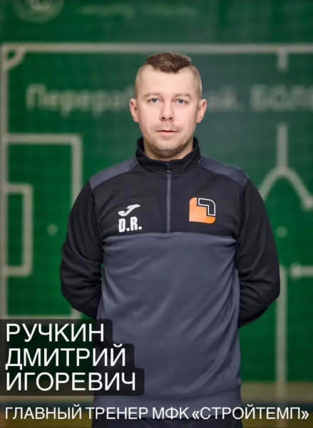 Дмитрий Игоревич Ручкин