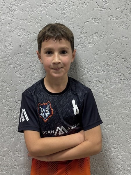 Александр Денисович Мегреладзе