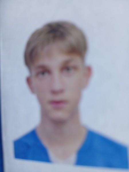 Илья Максимович Озирный
