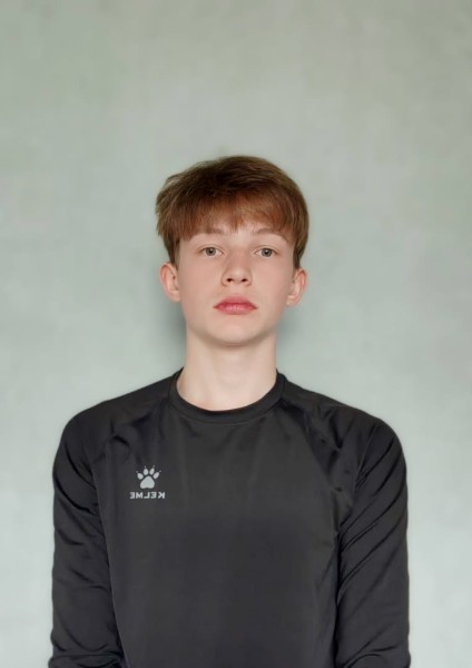 Дмитрий Иванович Красиков
