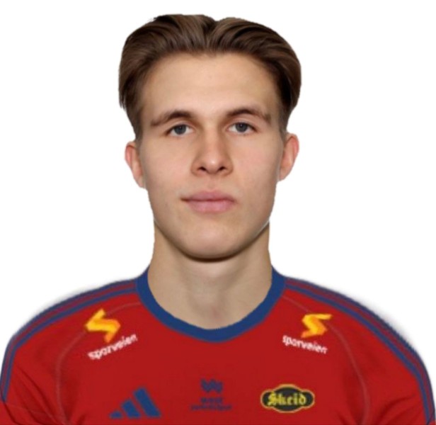 Александр Романович Шулаев