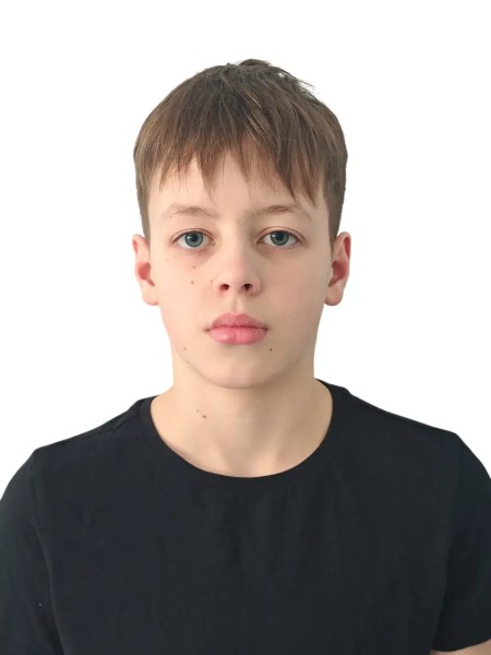 Михаил Михайлович Городничин
