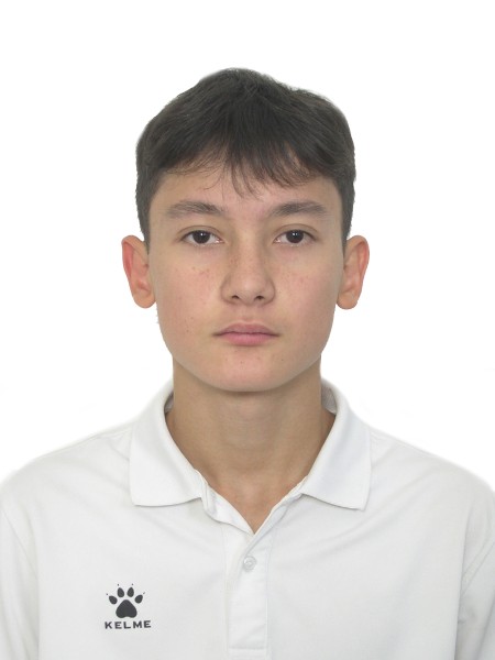 Максим Иванович Полянский