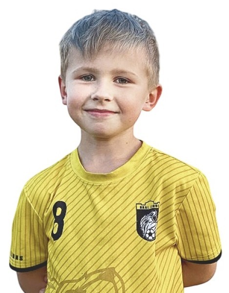 Владимир Иванович Милютин